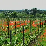 Le Vin De L'ete - Summer Wine - Sud De France Panzió *