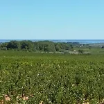 Panzió Le Vin De L'ete - Summer Wine - Sud De France *