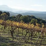 Le Vin De L'ete - Summer Wine - Sud De France * Cournonterral