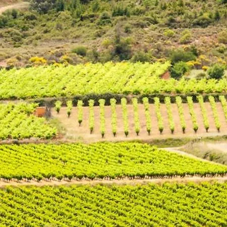 Le Vin De L'ete - Summer Wine - Sud De France Bed & Breakfast *