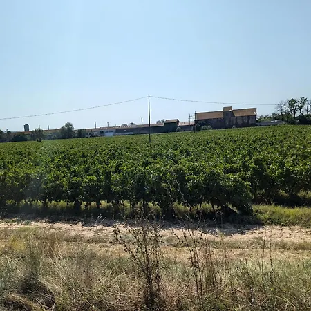 Le Vin De L'ete - Summer Wine - Sud De France