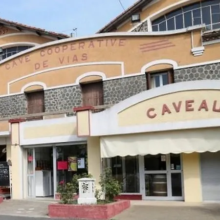 Le Vin De L'ete - Summer Wine - Sud De France Bed & Breakfast Cournonterral