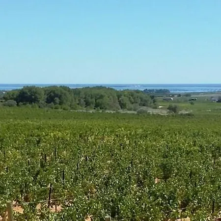 Bed & Breakfast Le Vin De L'ete - Summer Wine - Sud De France *