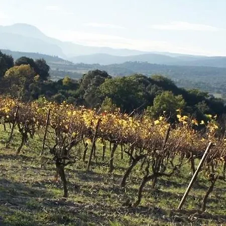 Le Vin De L'ete - Summer Wine - Sud De France * Cournonterral