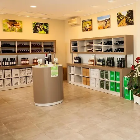 Le Vin De L'ete - Summer Wine - Sud De France Bed & Breakfast Cournonterral