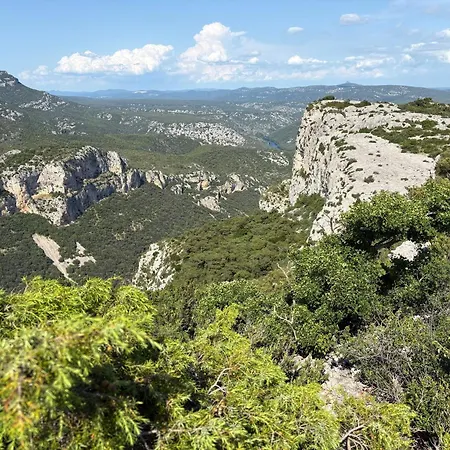 Le Vin De L'ete - Summer Wine - Sud De France