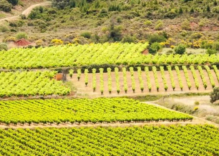 Le Vin De L'ete - Summer Wine - Sud De France Bed & Breakfast *