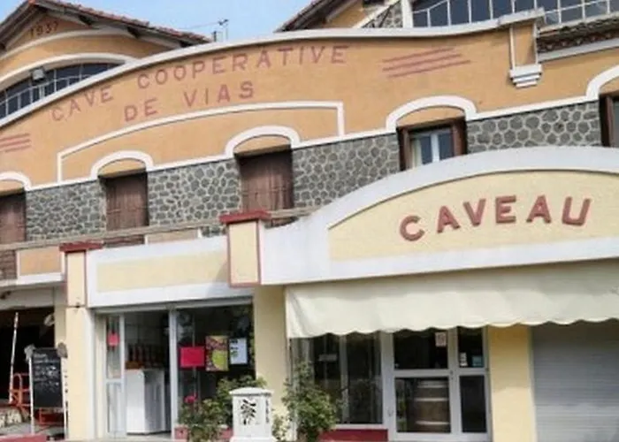 Le Vin De L'ete - Summer Wine - Sud De France Bed & Breakfast Cournonterral