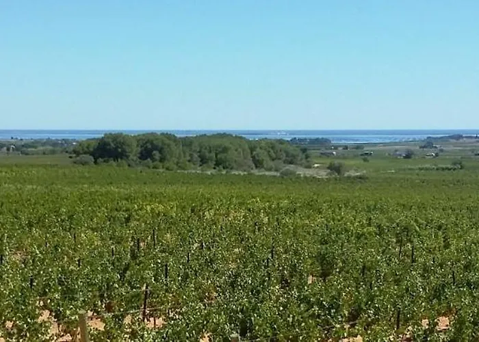 Bed & Breakfast Le Vin De L'ete - Summer Wine - Sud De France *