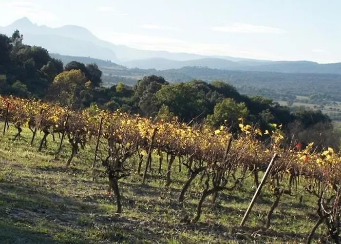 Le Vin De L'ete - Summer Wine - Sud De France * Cournonterral