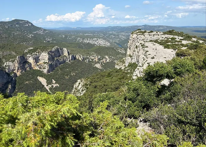 Le Vin De L'ete - Summer Wine - Sud De France
