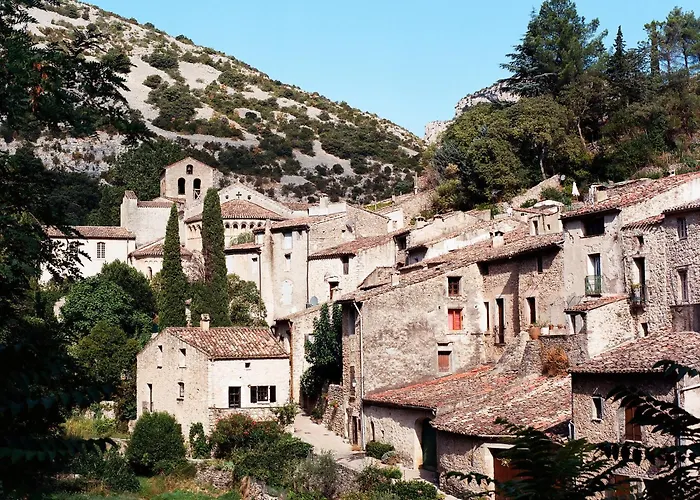 Le Vin De L'ete - Summer Wine - Sud De France Cournonterral